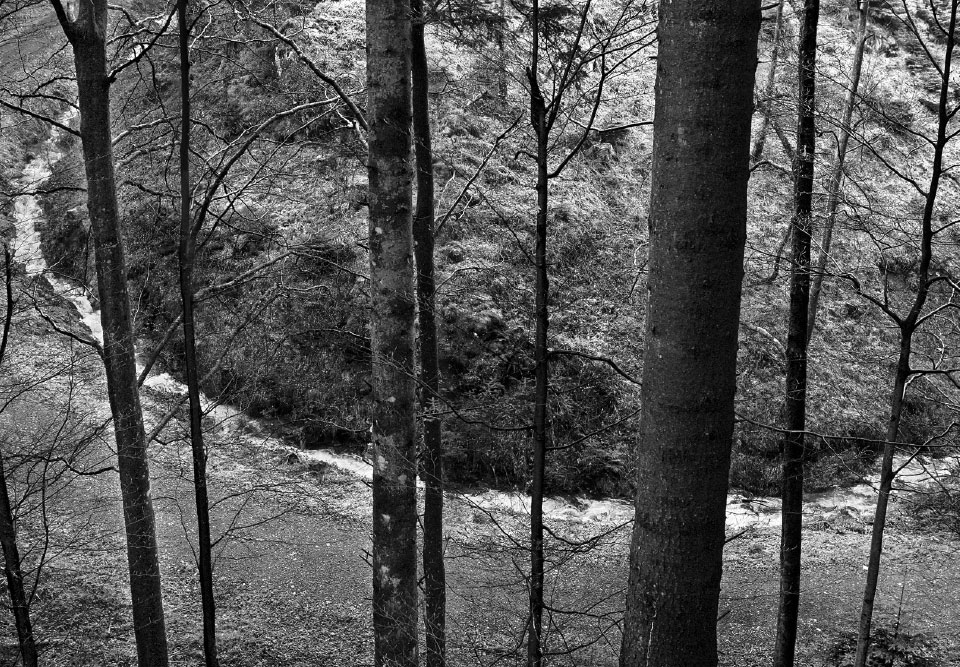 JC_SWL_book-8