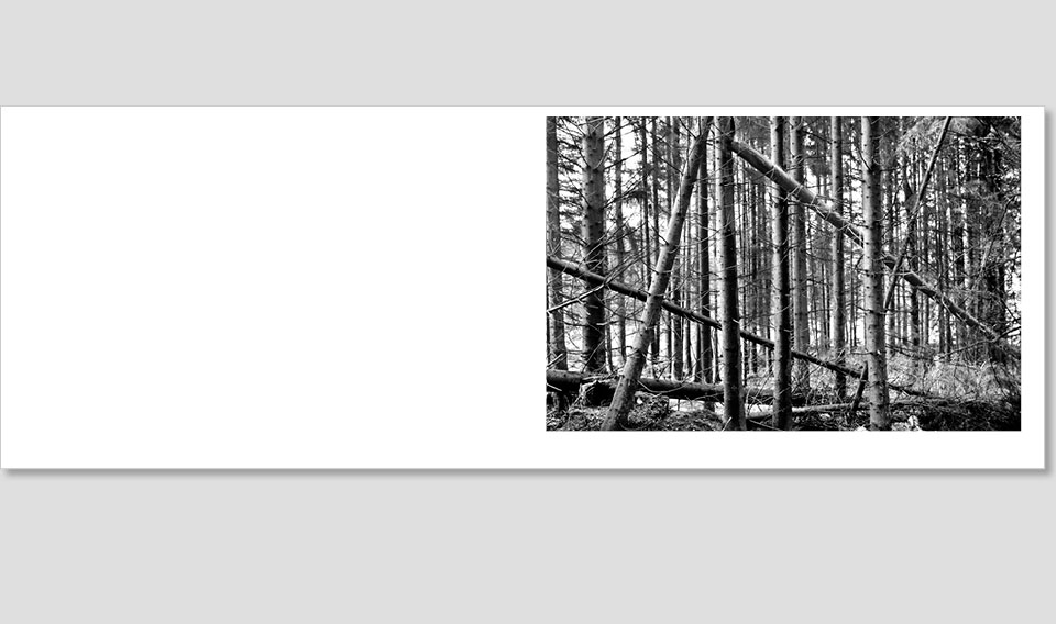 SWL_book-10-NEU
