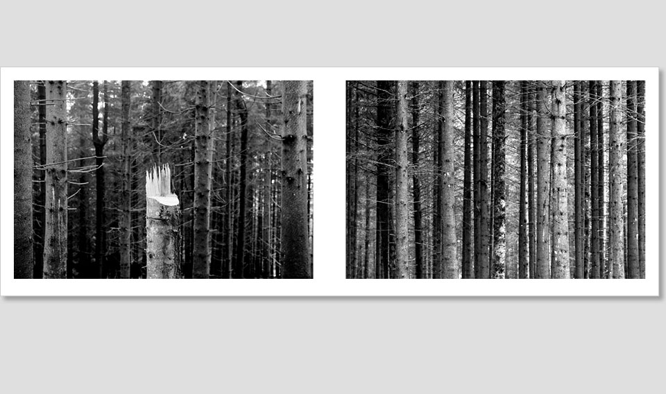 SWL_book-11-NEU