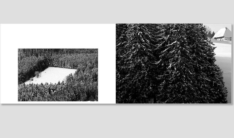 SWL_book-13-NEU