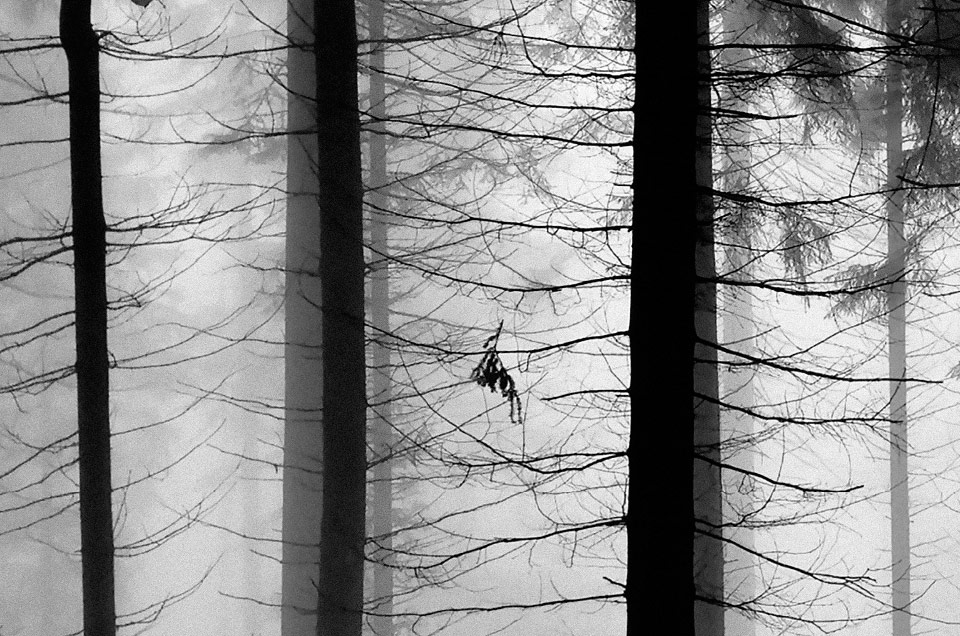 SWL_book-2-NEU