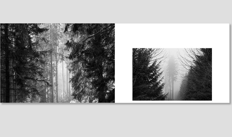 SWL_book-7-NEU