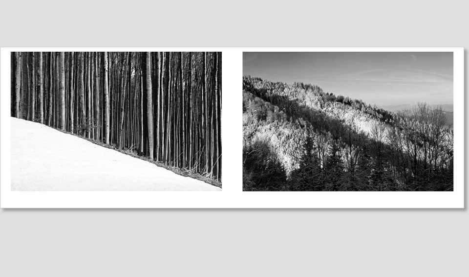 SWL_book-8-NEU