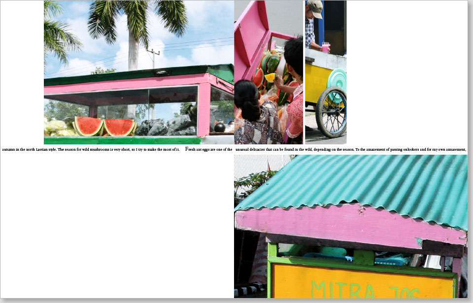 mobilefood-book-6