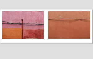 walls book