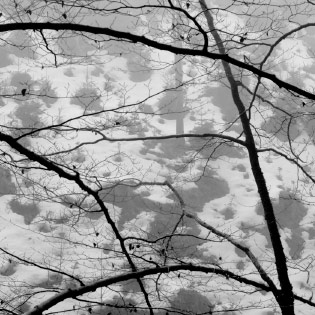 Schwarz-Wald-Land