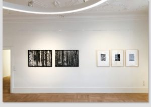 Schwarz leuchtet